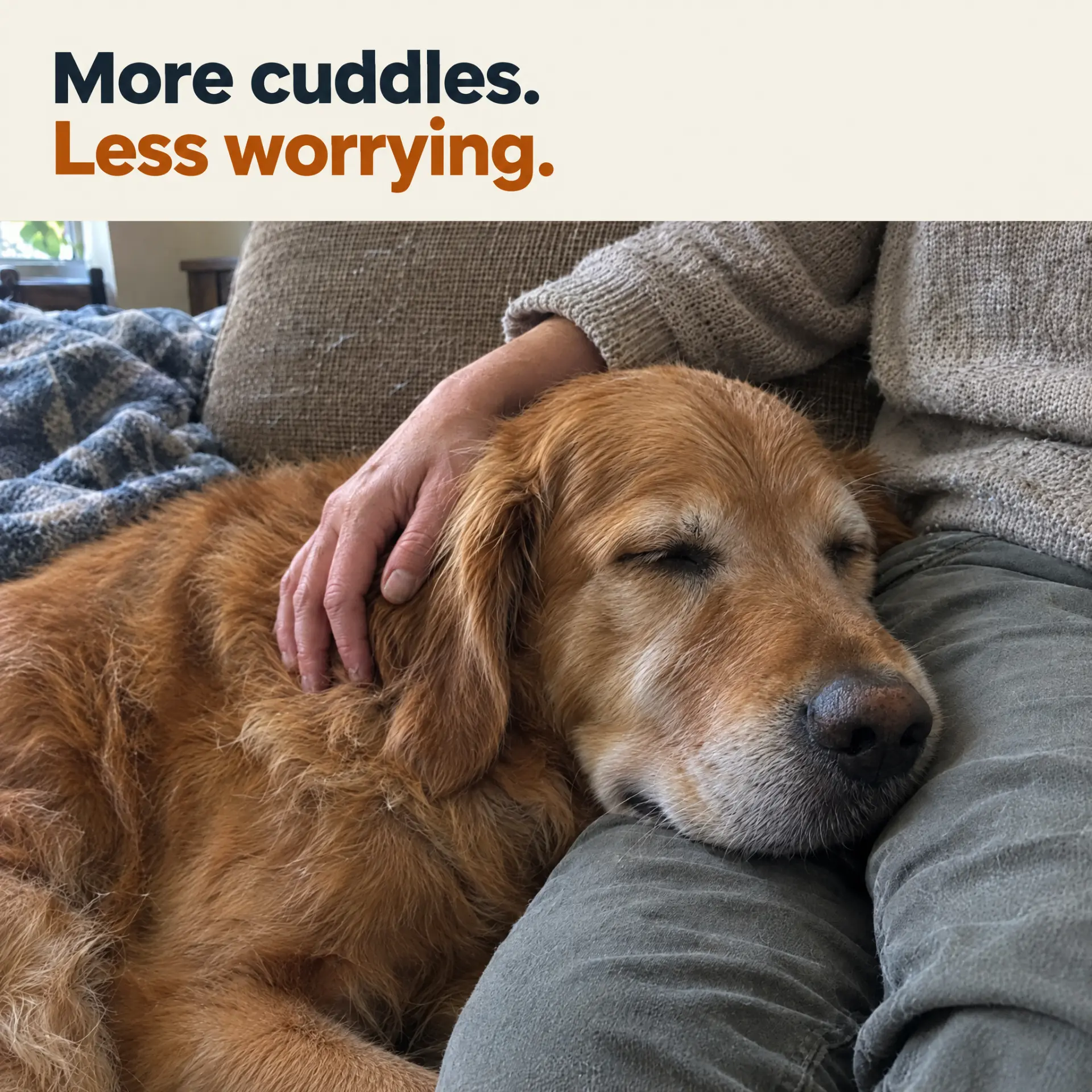 Golden retriever dozing on his owner's lap, text: More cuddles. Less worrying.